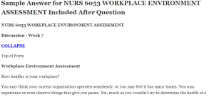 NURS 6053 WORKPLACE ENVIRONMENT ASSESSMENT