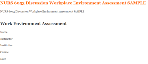 NURS 6053 Discussion Workplace Environment Assessment SAMPLE