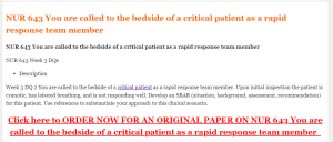 NUR 643 You are called to the bedside of a critical patient as a rapid response team member