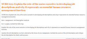 NURS 6221 Explain the role of the nurse executive in developing job descriptions and why it represents an essential human resource management function