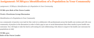 Assignment NURS4211 Identification of a Population in Your Community