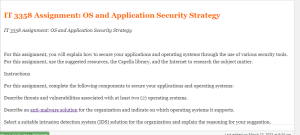 IT 3358 Assignment  OS and Application Security Strategy
