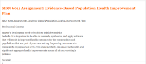 MSN 6011 Assignment Evidence-Based Population Health Improvement Plan