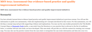 MSN 6021 Assessment One evidence-based practice and quality improvement initiatives