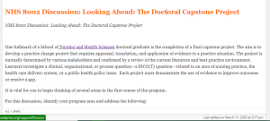 NHS 8002 Discussion  Looking Ahead The Doctoral Capstone Project