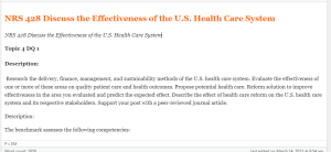 NRS 428 Discuss the Effectiveness of the U.S. Health Care System