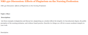 NRS 430 Discussion Effects of Plagiarism on the Nursing Profession