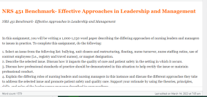 NRS 451 Benchmark- Effective Approaches in Leadership and Management