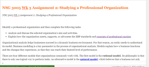 NSG 3005 Wk 3 Assignment 2 Studying a Professional Organization