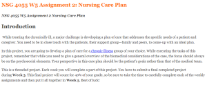 NSG 4055 W5 Assignment 2 Nursing Care Plan