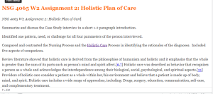 NSG 4065 W2 Assignment 2 Holistic Plan of Care