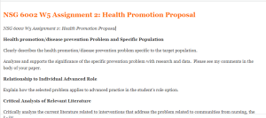 NSG 6002 W5 Assignment 2  Health Promotion Proposal