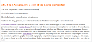 NSG 6020 Assignment Ulcers of the Lower Extremities