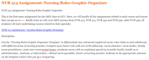 NUR 513 Assignment Nursing Roles Graphic Organizer
