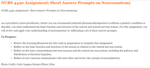 NURS 4430 Assignment Short Answer Prompts on Neuroanatomy