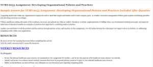 NURS 6053 Assignment Developing Organizational Policies and Practices