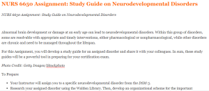 NURS 6650 Assignment  Study Guide on Neurodevelopmental Disorders
