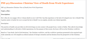 PHI 413 Discussion Clinician View of Death from Work Experience