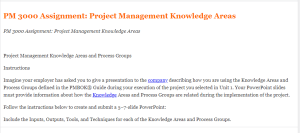 PM 3000 Assignment Project Management Knowledge Areas