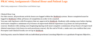 PRAC 6665 Assignment Clinical Hour and Patient Logs