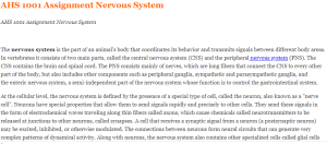 AHS 1001 Assignment Nervous System