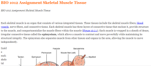 BIO 1012 Assignment Skeletal Muscle Tissue