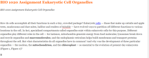 BIO 1020 Assignment Eukaryotic Cell Organelles
