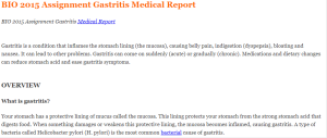 BIO 2015 Assignment Gastritis Medical Report