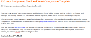 BIO 2071 Assignment Mold and Yeast Comparison Template