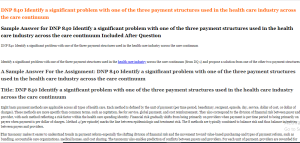 DNP 840 Identify a significant problem with one of the three payment structures used in the health care industry across the care continuum