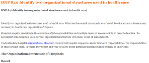 DNP 840 Identify two organizational structures used in health care