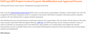 DNP 955 DPI Project Context Expert Identification and Approval Process