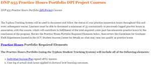 DNP 955 Practice Hours Portfolio DPI Project Courses