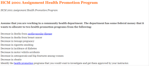 HCM 2001 Assignment Health Promotion Program