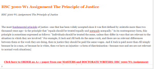 HSC 3000 W1 Assignment The Principle of Justice