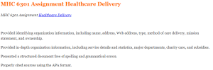MHC 6301 Assignment Healthcare Delivery