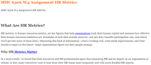 MHC 6306 W4 Assignment HR Metrics