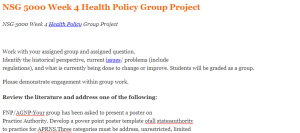 NSG 5000 Week 4 Health Policy Group Project