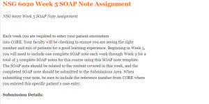 NSG 6020 Week 5 SOAP Note Assignment