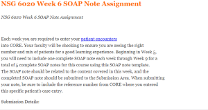 NSG 6020 Week 6 SOAP Note Assignment