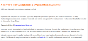 NSG 7000 W10 Assignment 2 Organizational Analysis