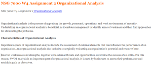 NSG 7000 W4 Assignment 2 Organizational Analysis