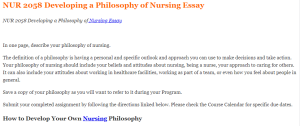 NUR 2058 Developing a Philosophy of Nursing Essay