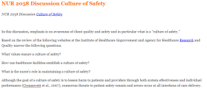 NUR 2058 Discussion Culture of Safety