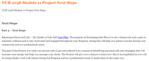 NUR 2058 Module 11 Project Next Steps