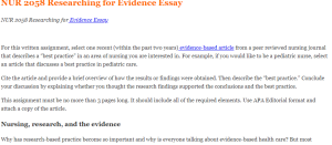 NUR 2058 Researching for Evidence Essay