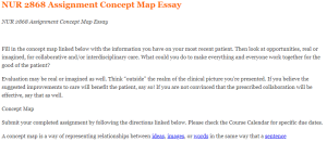 NUR 2868 Assignment Concept Map Essay