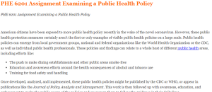 PHE 6201 Assignment Examining a Public Health Policy
