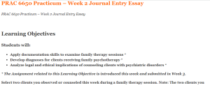 PRAC 6650 Practicum – Week 2 Journal Entry Essay