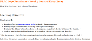PRAC 6650 Practicum – Week 5 Journal Entry Essay